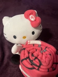 New Green Bay Packers HELLO KITTY Plush Character & THROW BLANKET 40x50 PINK. This is new with tags and is just as you...