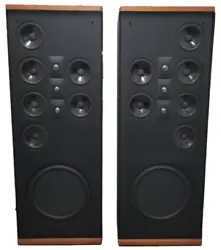 These speakers are in good cosmetic and working condition.  They are huge!! Theyre around 5 feet tall and super...