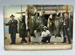 Antique original - The Worlds Record, 4 hours Catch, July 30th 1904, Sana Catalina Island, Cal. Made in Germany.
