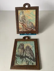2 Vintage Framed Owl Prints/portraits/wall Decor 5x6Please review each of the photos carefully as they serve as...