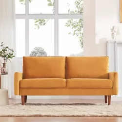 Dreamsir modern velvet loveseat sofa is a delicate decoration of small spaces like living room, bedroom, office, etc....