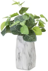 Plants not included . No drainage hole allows this vase to be used on a desk, table or counter top surface. Perfect for...
