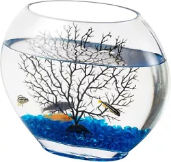 Special oblate shape, wider front view. Avoid placing mini fish bowl near vents or vents. Features of this small fish...