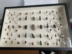 Ancienne boîte dentomologie insectes 39 x 25,5 cm, 5,5 cm de profonddans son jus