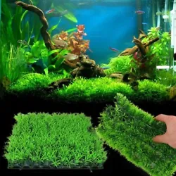 Provides a beautiful decoration for your aquarium, also is an excellent hiding place for fish which adds extra fun to...
