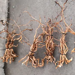 Quantity: 1bunch. Driftwood Root- Length about 10-30cm, thickness about 0.1-0.5cm. Due to the light and screen...