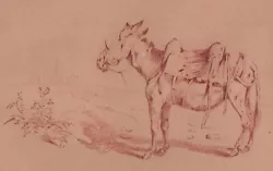 Dessin animalier au fusain. École Lyonnaise du 19° XIXe siècle. ÂNE DE BÂT HARNACHÉ.