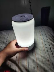Lights work. Connects with Alexa or Google. Can be used as a night light.