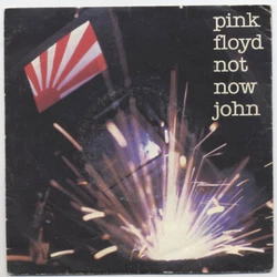 45t SP PINK FLOYD : Not now John + 1 (Harvest 65132).