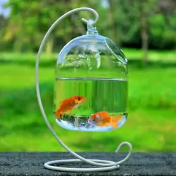 This vase fishbowl has a hanging hole and bracket design. The length of the vase fishbowl is 15cm, and the width is...