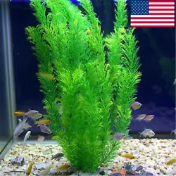 1 PC Aquarium Plastic Grass. Provides a beautiful decoration for your aquarium, also is an excellent hiding place for...