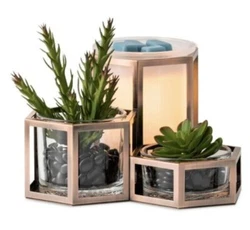Get ready to immerse yourself in the wild, untamed beauty of the desert with this Scentsy Wild Desert Warmer. This...