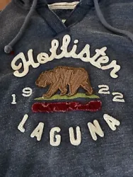 Hollister Hoodie youth Large Pullover sewed on Grizzly Bear/California logossoft thermal heather blueExcellent Condition