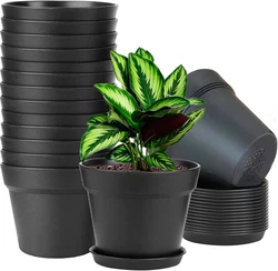 Use to decorate a room, a garden, a patio, or an office.