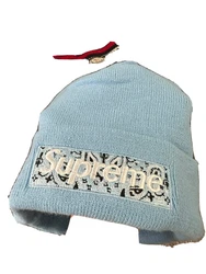 Supreme winter cap.