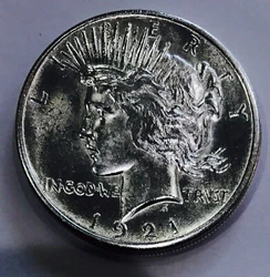 IF YOU GRADE A COIN WITH A THIRD PARTY YOU DO IT AT YOUR OWN RISK. NO FAKE OR COUNTERFEITS HERE.