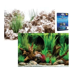 5 HYGROPHILA DIFFORMIS plante aquarium facile DEBUTANT (#260488571745) 1,99 EUR Afficher lobjet. echinodorus bleheri x...