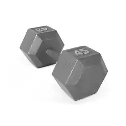 The benefits of dumbbell exercises include muscle building, improving core strength, boosting balance, providing better...