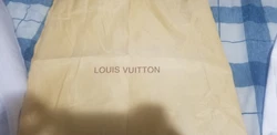 Louis Vuitton Back pack.