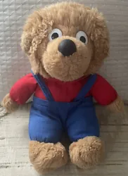 Berenstain brother bear plush stuffed toy. Size 9.”Very good condition. Tag is not readable.