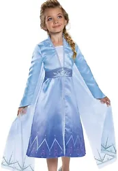 Disney Frozen II Elsa Adventure Dress (Fits 4-6x).
