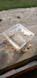 This vintage Pyrex covered dish is perfect for any home cook or collector. With a classic square shape and clear glass...