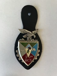 militaria Badge Insigne 27* RCS De Grenoble.