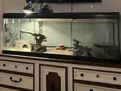 100 gallon reptile tank. Comes with everything except lightbulbs. including: 2 UVB light fixtures, a black light...