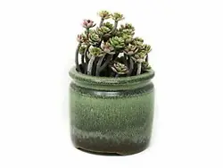 We created these stunning ceramic Succulent Pots as a way to plant and grow beautiful succulents, cactuses, flowers,...