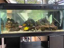 Joli aquarium 200l.