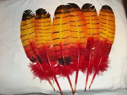 This SALE is for 6 { WHITE TURKEY WING QUILLS } The feathers have been hand painted red and black over yellow and red...