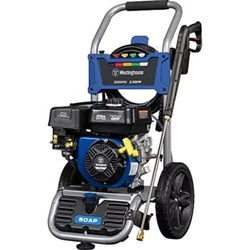 Constructed with a handy 1.6 L soap tank on its side, the WPX3200 is safe to use on brick, stone, concrete, wood,...