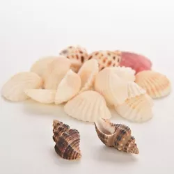 Description:  Sac Pack de 70gr Décoration Aquarium Coquillages Mixtes nb dans chaque colis il y a des coques mixtes...