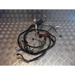 APE : 4540Z. RCS : DRAGUIGNAN 509902441. n°siret : 50990244100021. région : 83 - VAR. 83690 Salernes. La Cougourde....