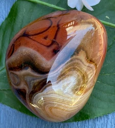 Physically, Banded Agate is believed to help with digestion, stamina, and may protect the body from harmful radiation...