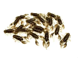 Craw scented and ready to fish! Brown Craw. 20 Micro Craws.