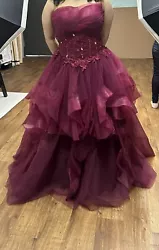 Quinceanera/Sweet 16 Dress, SIZE 16.