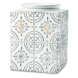 With or a consultant with Scentsy.