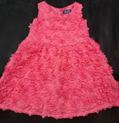 Size 3T girls hot pink dress. Rosette pattern over the front of the dress. The rosette pattern is also in the back, but...