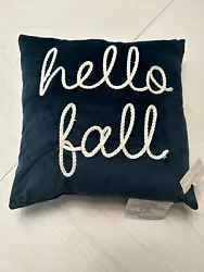 Super cute NWT teal velvet pillow. Reads Hello Fall. You never know what amazing deals you may find.