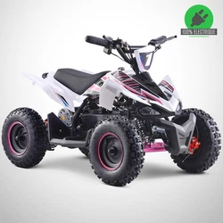 Idéal pour débuter lapprentissage du quad en toute sécurité, le Pocket Quad FLIPY 800W ne laissera ni bruit, ni...