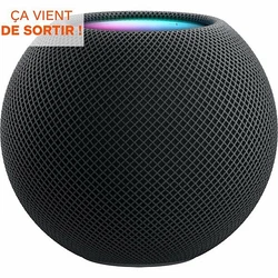 Enceinte Wifi Apple HomePod Mini Gris Sidéral 345 g,Bluetooth, Wi-Fi, AirPlay, AirPlay 2,Apple music