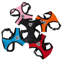 All dogs need collars but for control and safety, a harness is highly recommended. Collars can cause respiratory...