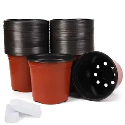 WIDELY USED -- Perfect for starting seedlings, or transplanting seedlings from smaller cells into these pots. You can...