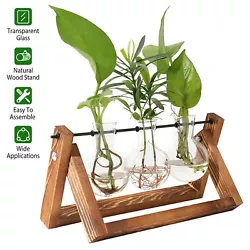 Place it at the desktop to relax your body and mind. An ideal gift for office workers. Product Type: Glass Planter...