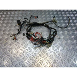APE : 4540Z. RCS : DRAGUIGNAN 509902441. n°siret : 50990244100021. région : 83 - VAR. 83690 Salernes. La Cougourde....