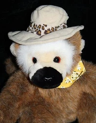 Wearing a Safari hat and yellow bandana scarf. Approx 11