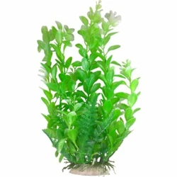 Lifelike looking aquarium plant in a natural green color. Plastic construction with disguised base weight. The leaves...