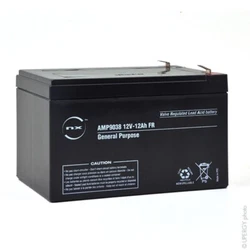 Cette batterie répond en tous points aux exigences des plus grands fabricants. Caractéristiques de la batterie NX...