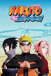 Up for sale is the entire collection of this great anime. The set includes all 5 seasons from Naruto plus the movies....